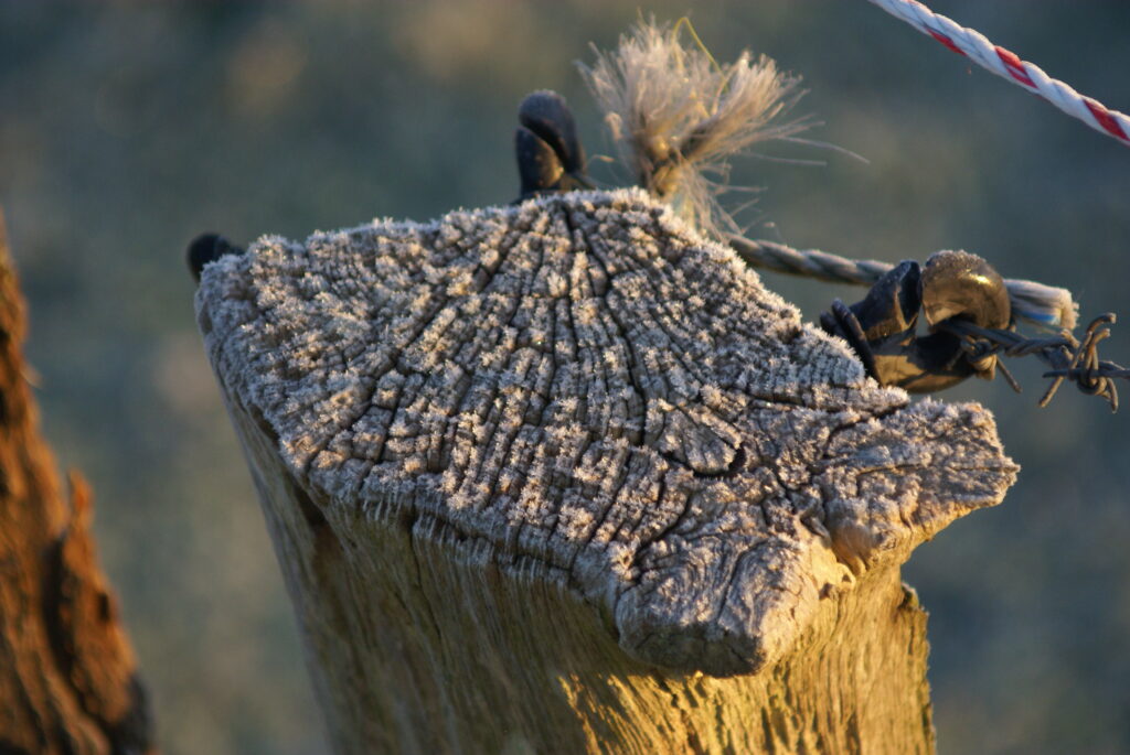 Texturen auf Winterfotos