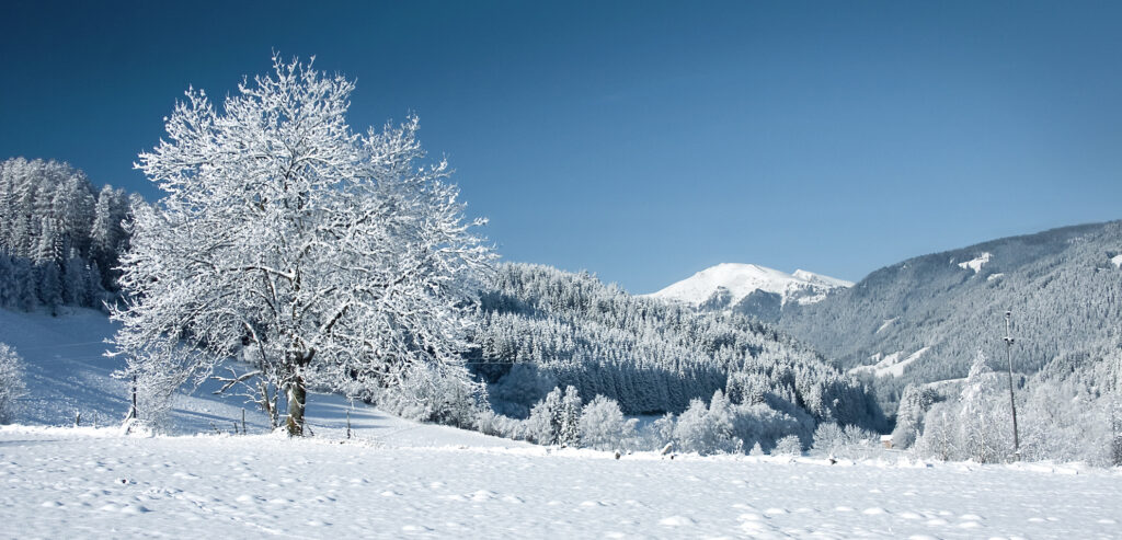 Winterlandschaft als Foto
