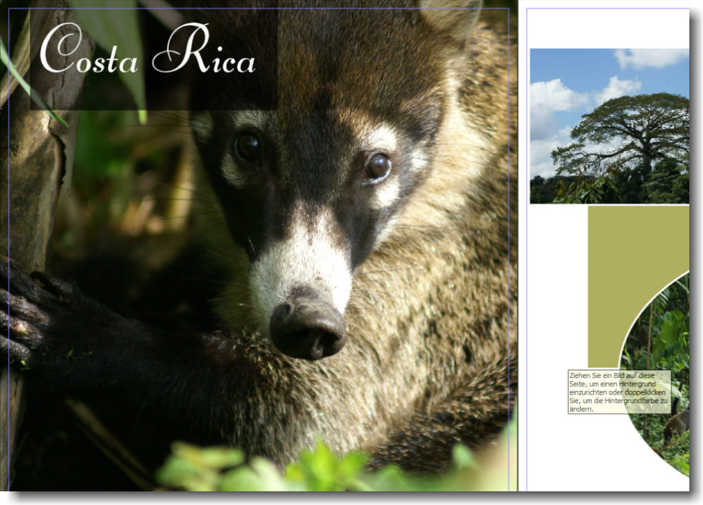 Transparente Textboxen im Fotobuch