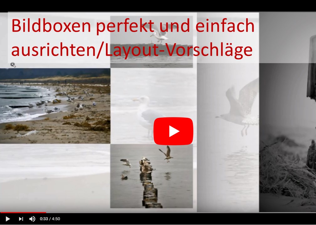 Fotobuch Aktion Video Tipp Bilder ausrichten