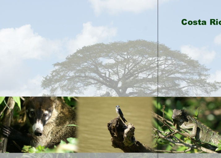 Tipp: Bildverlauf im Fotobuch